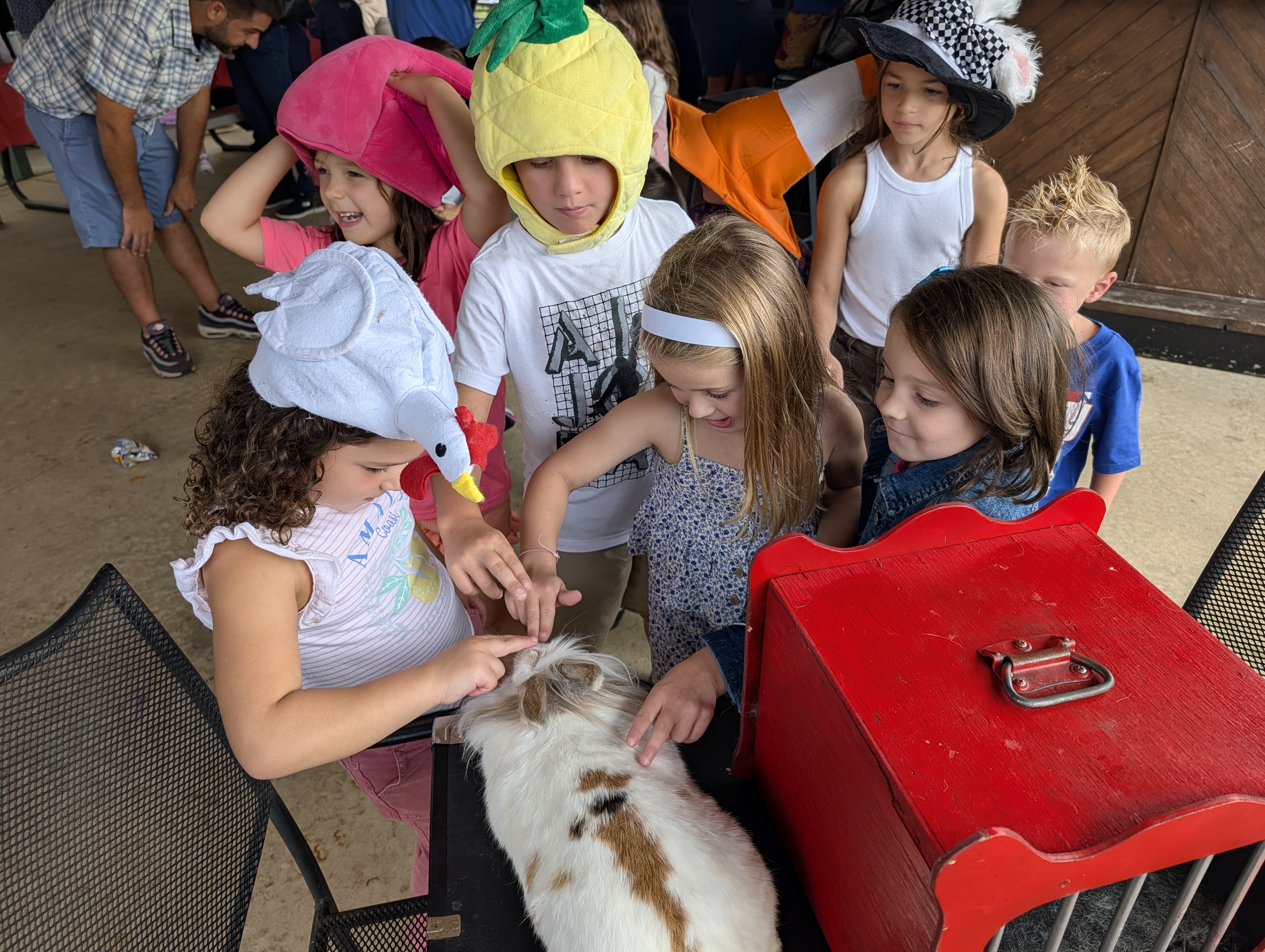 Kids watching a magic show in Staten Island